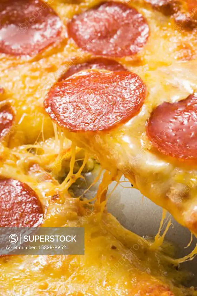Salami and cheese pizza (detail)