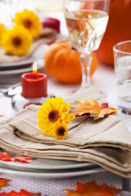 Autumn Table Setting; Thanksgiving