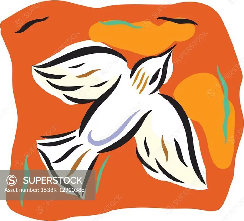 Illustration of a dove on an orange background