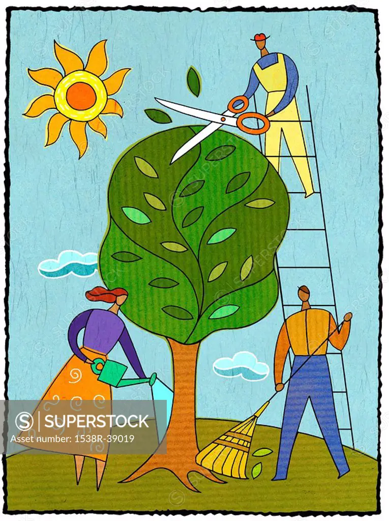 Three people caring for a tree