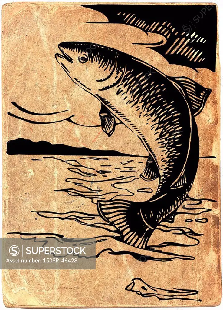 Fish jumping out of the water on vintage paper background