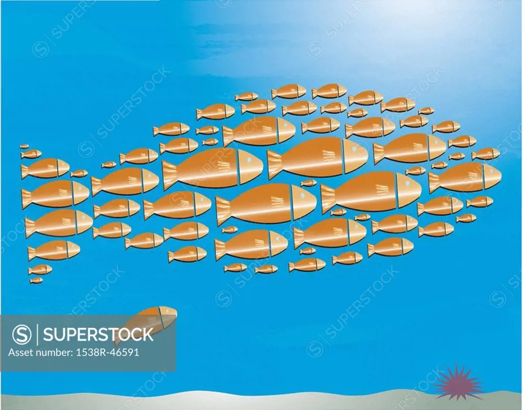 A school of fish swimming in a formation