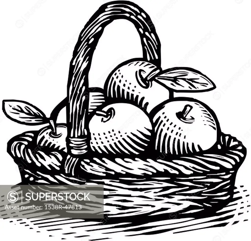 Drawing of a basket of apples drawn in black and white