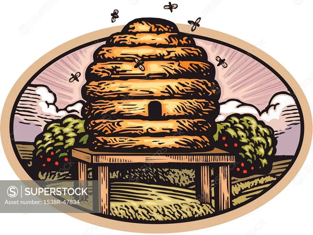 Drawing of a bee hive