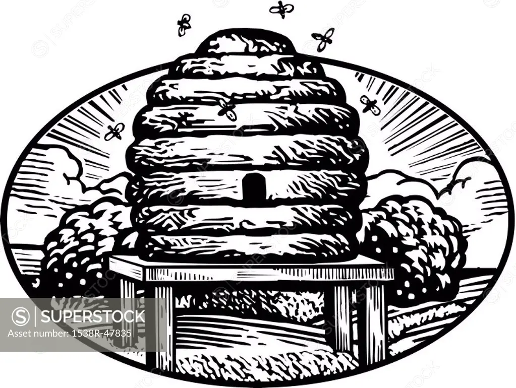 Drawing of a bee hive drawn in black and white