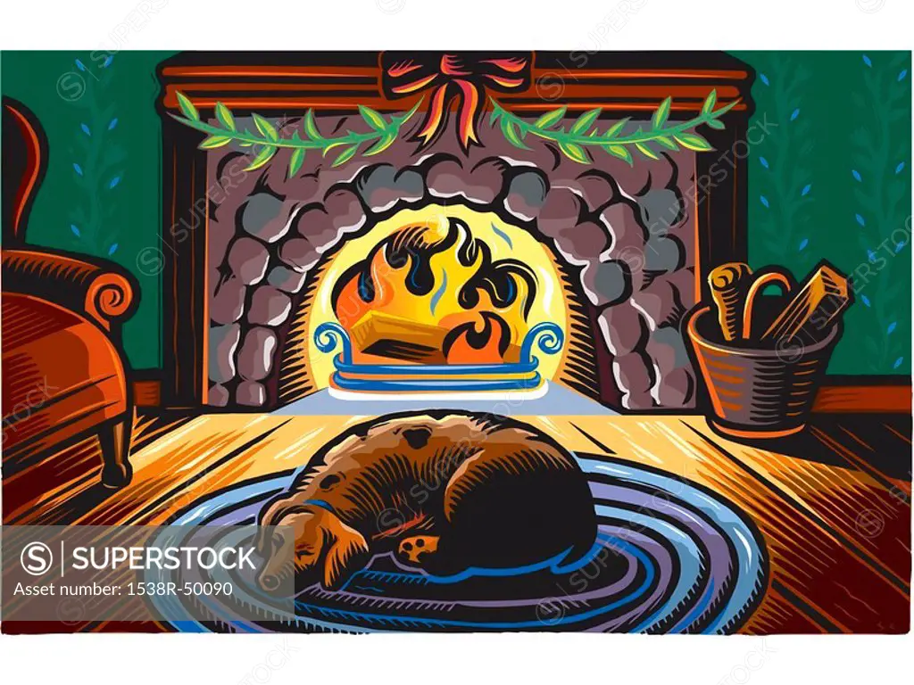 A dog sleeping by the fireplace