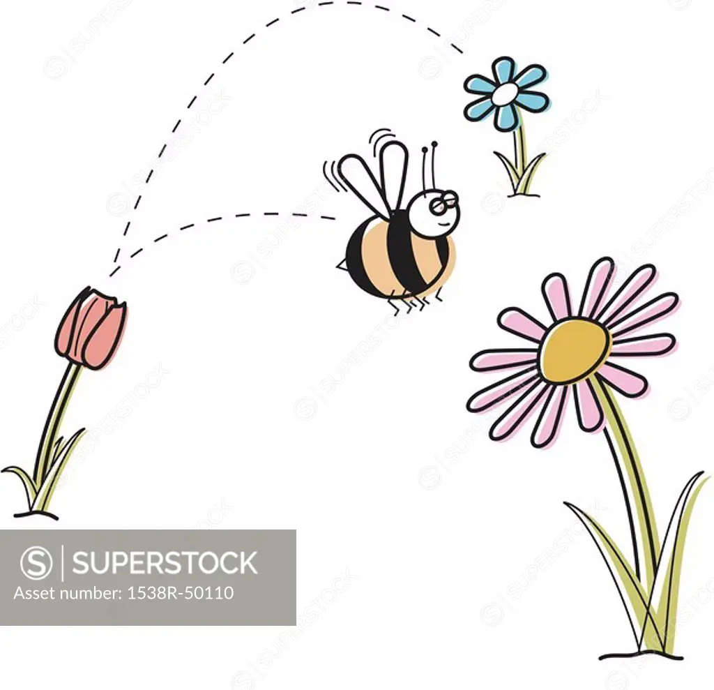 A bee collecting honey from one flower after another