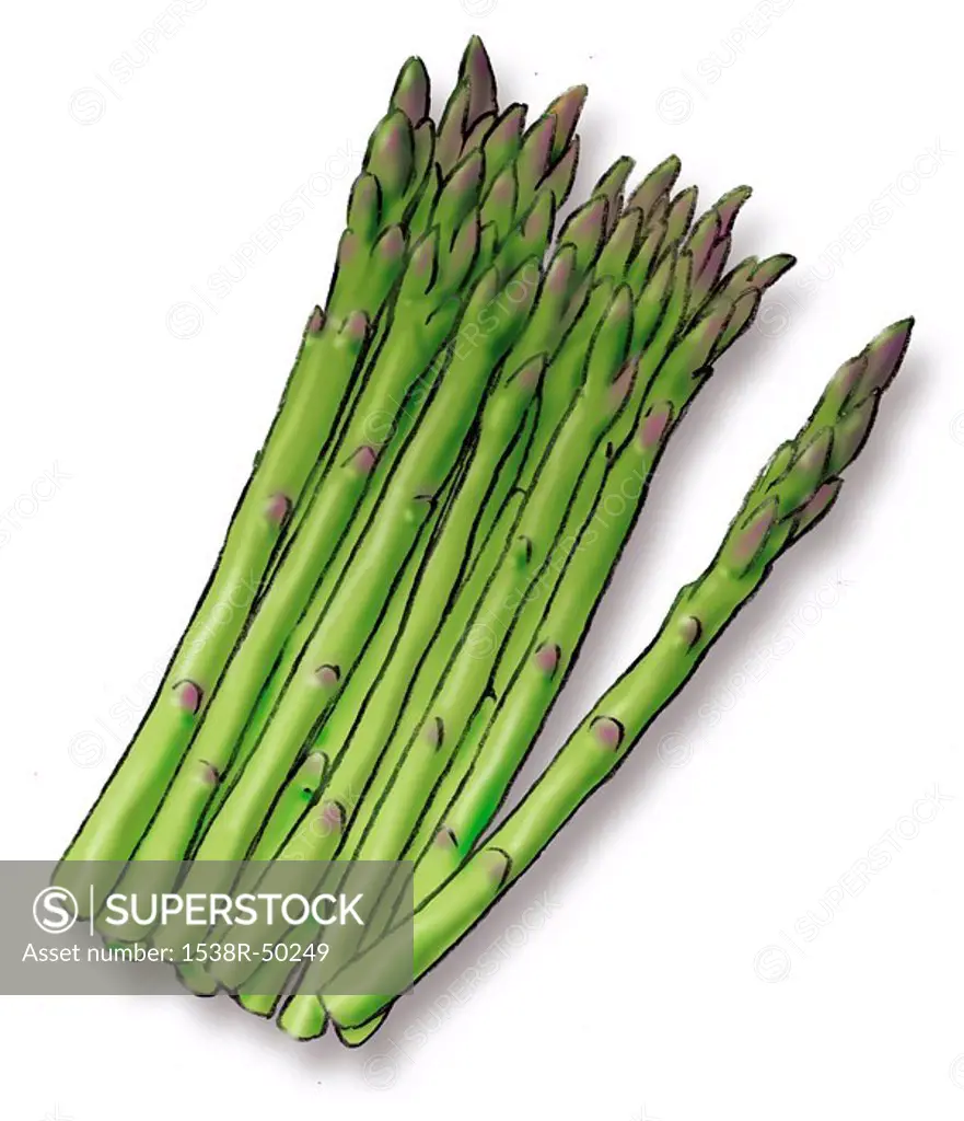 A bunch of asparagus on a white background