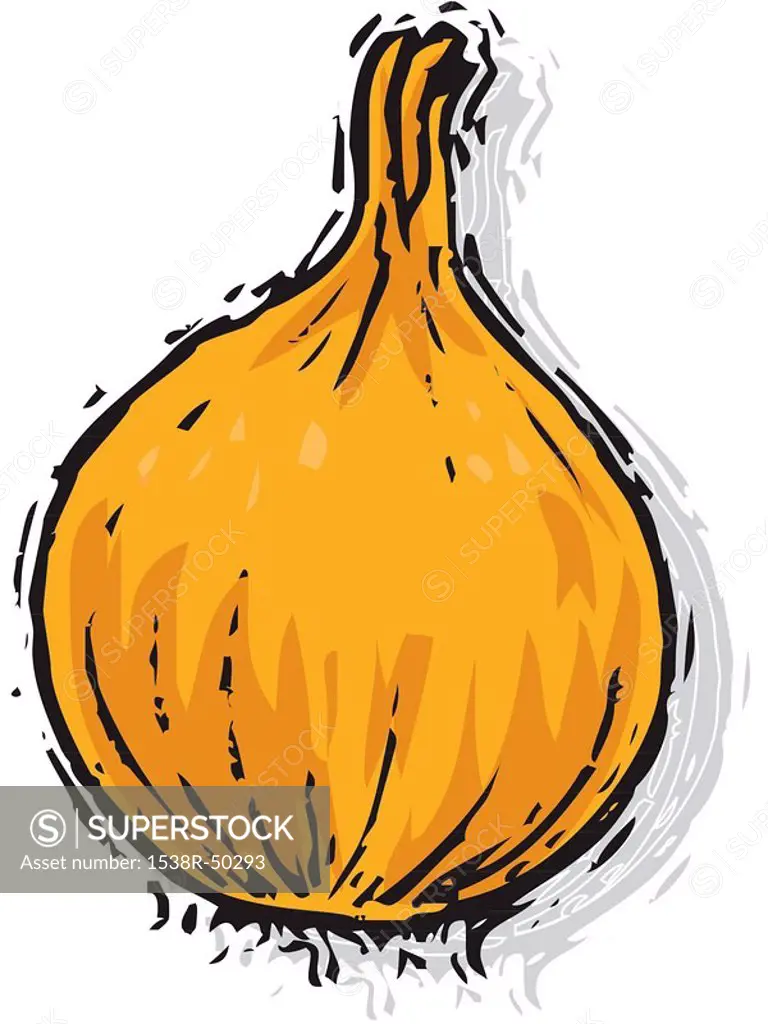 An illustration of an onion