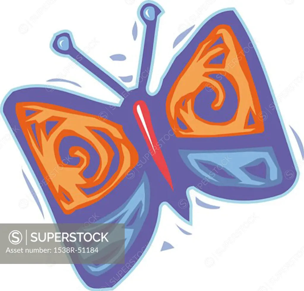 An orange and purple colored butterfly