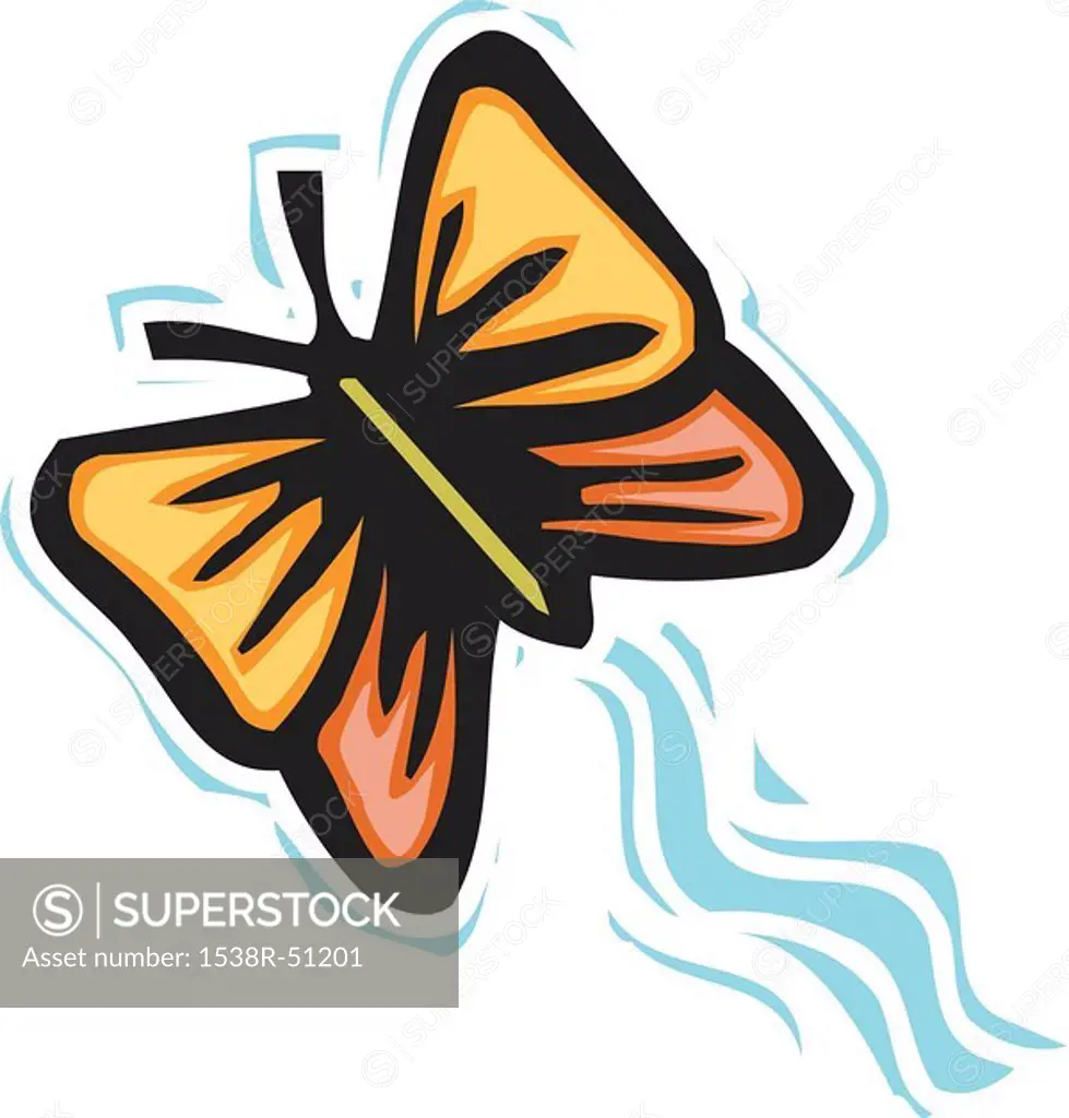 Illustration of a butterfly