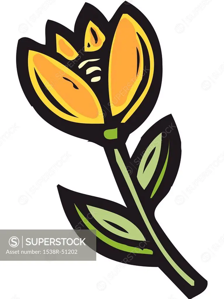Illustration of a yellow tulip