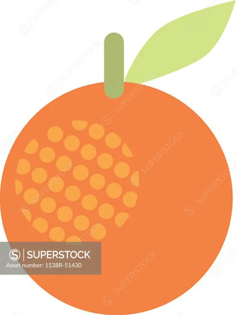 A drawing of an orange