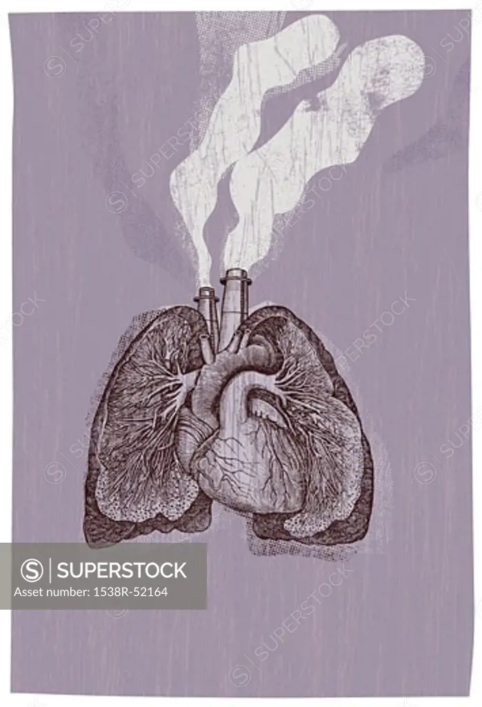 Lungs with smoke coming out of them