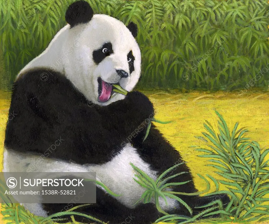 An illustration of a giant panda bear