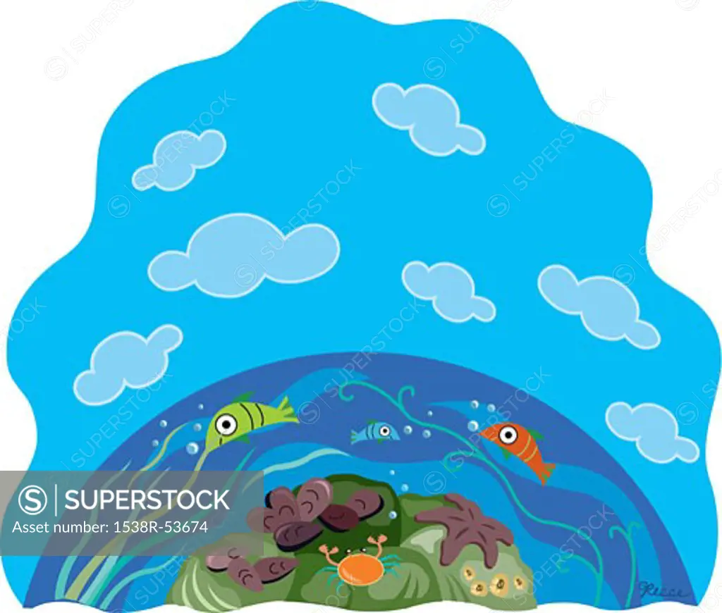 An image of fish swimming in the sea with a crab and starfish on the ocean floor