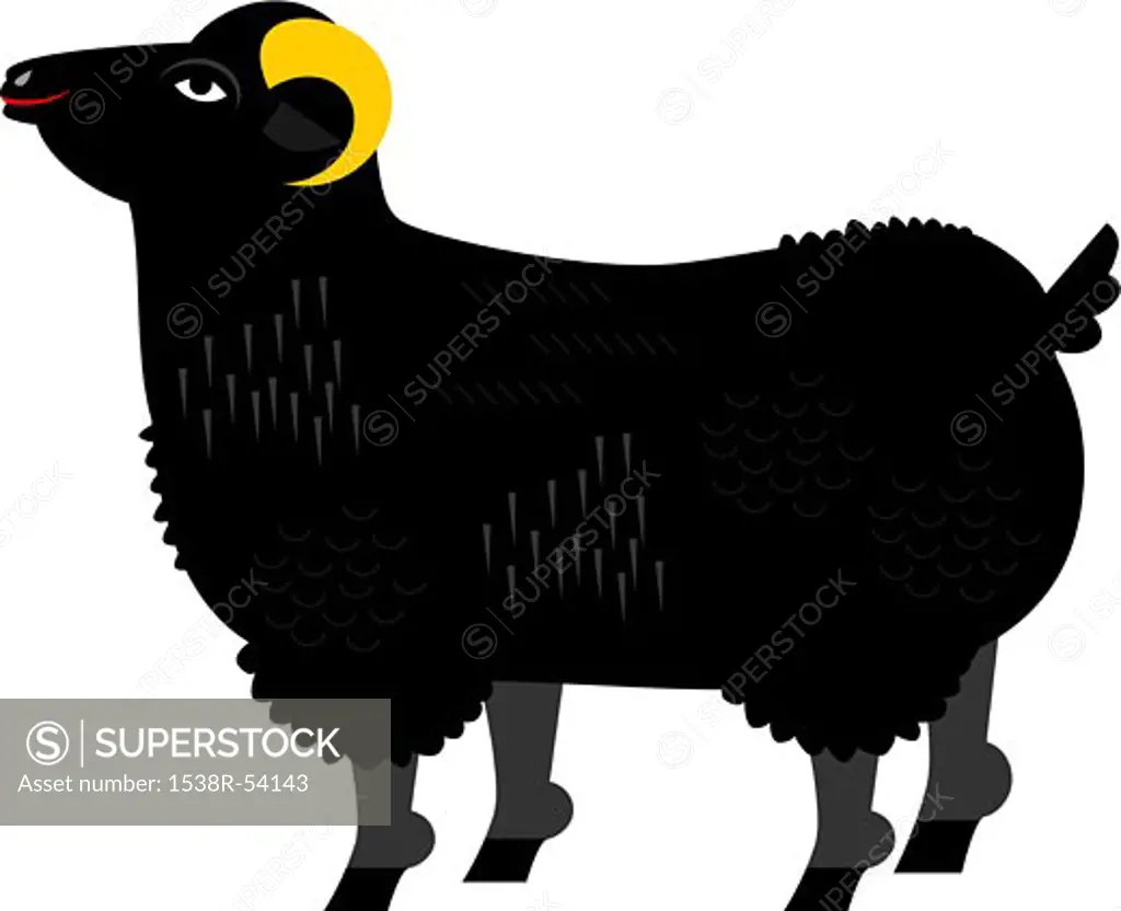 A black big horn sheep
