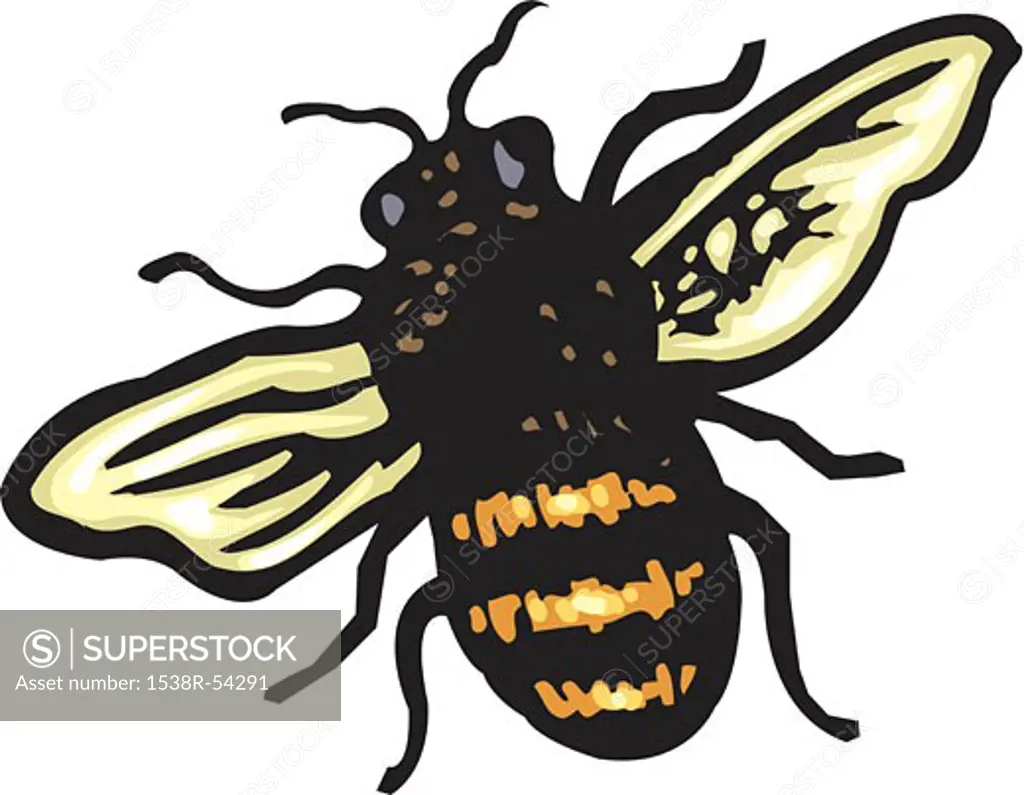 An illustration of a bee