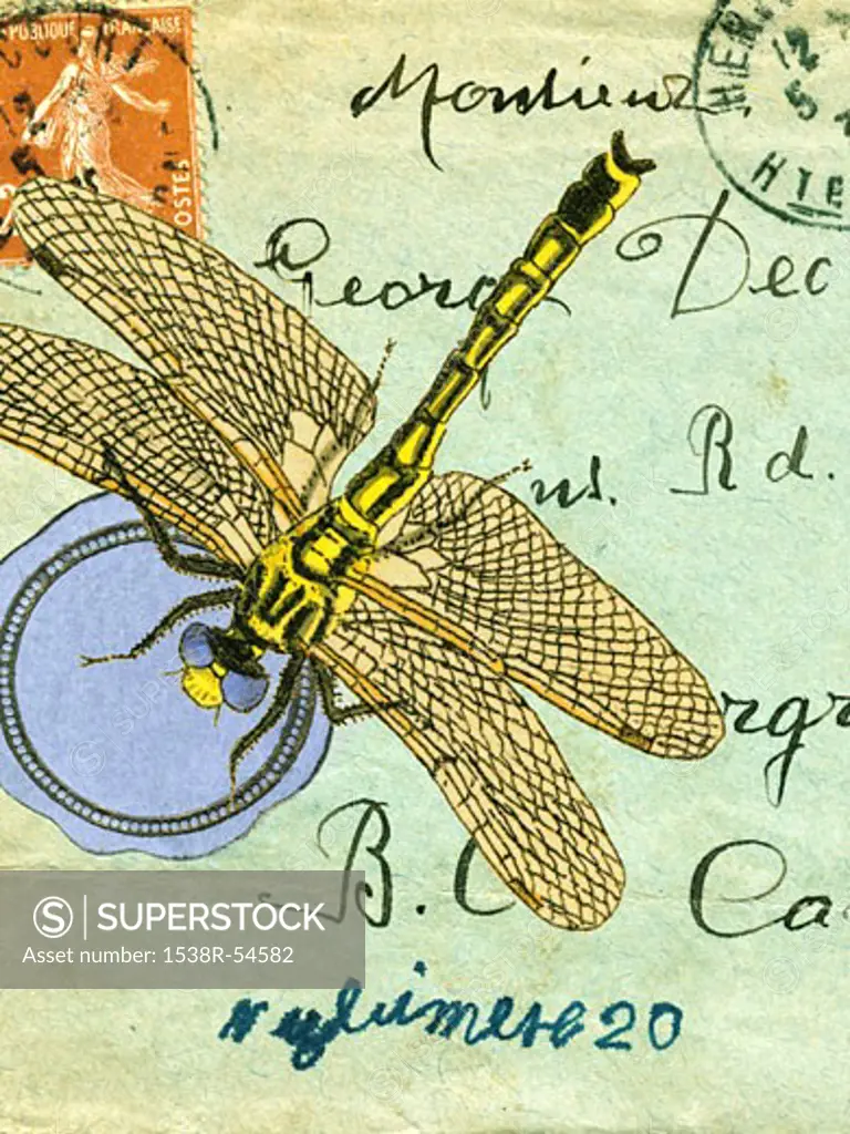 An old envelope with stamps from France, handwriting and a dragonfly