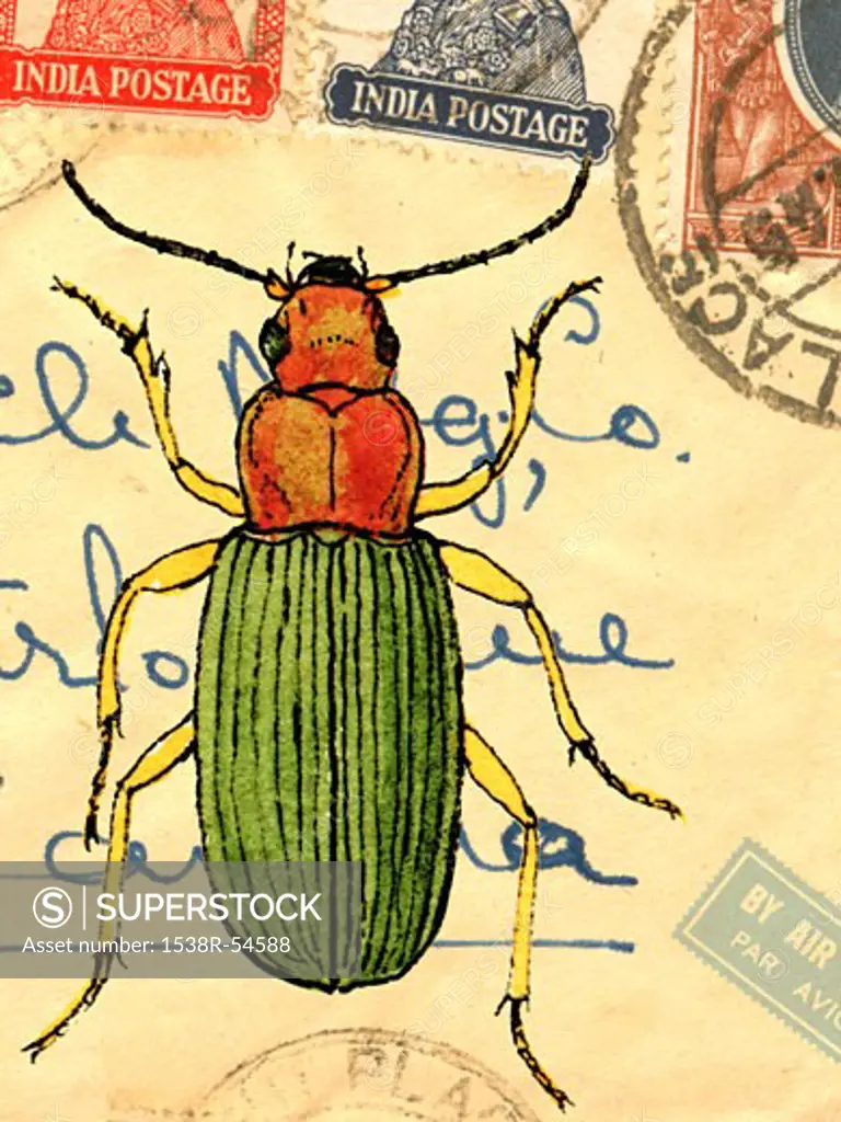 An old envelope with stamps from India, handwriting and a beetle
