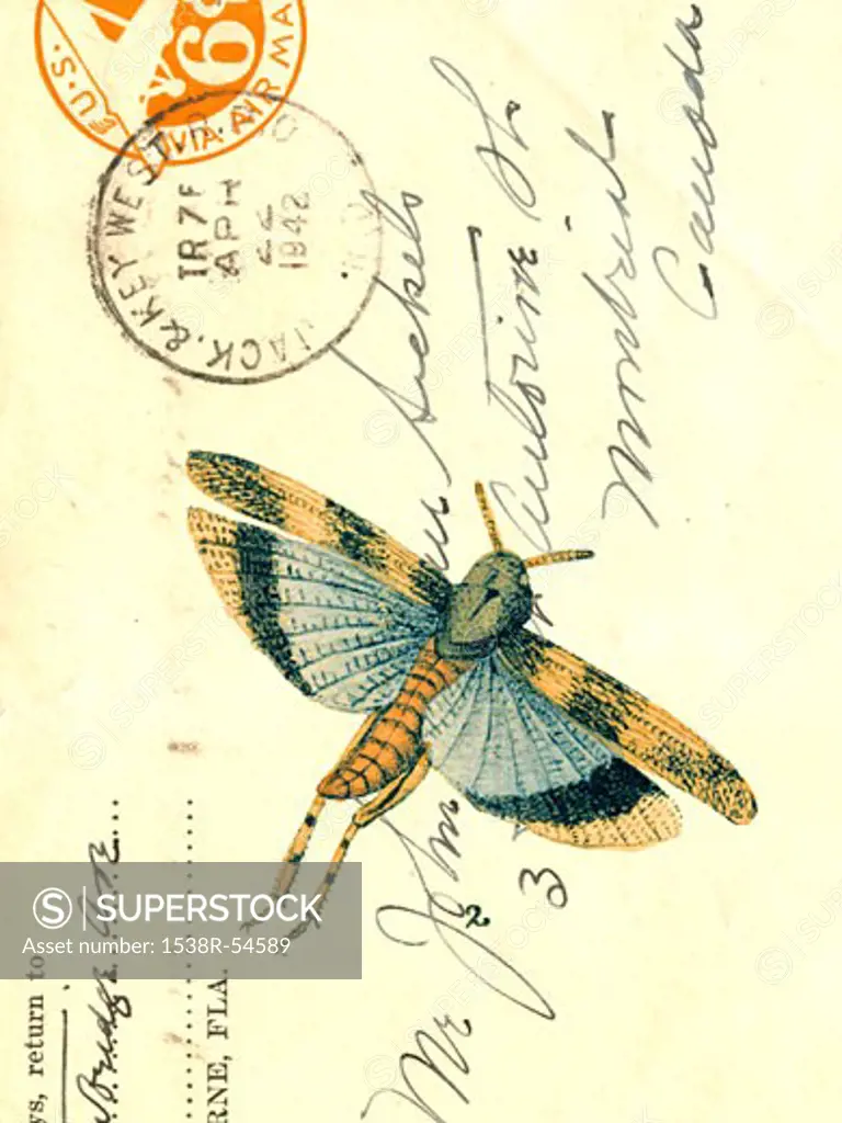 An old envelope with stamps from USA, handwriting and a moth