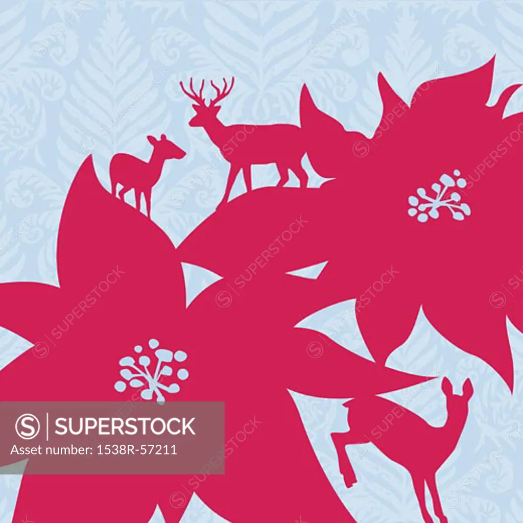 Silhouette of poinsettias and deers on a decorative background
