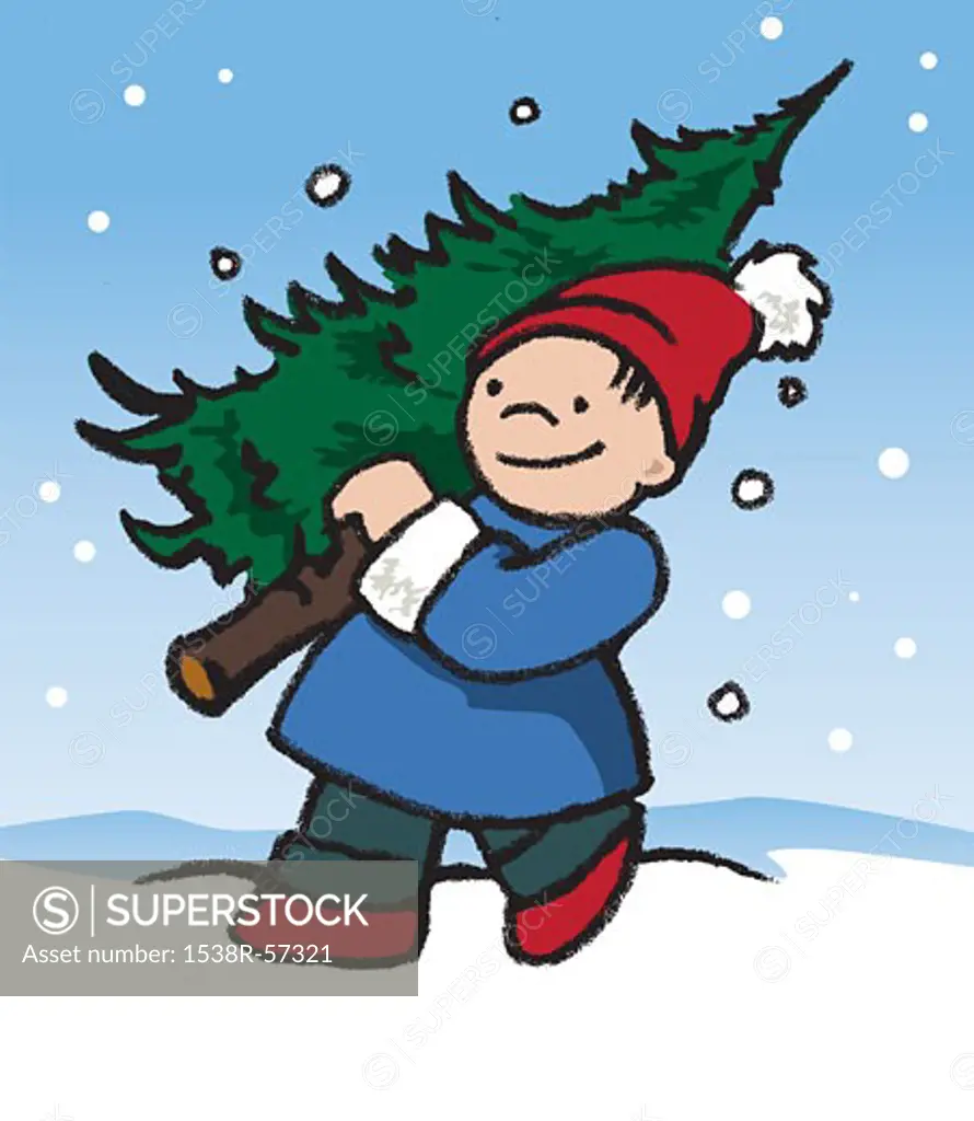 A boy carrying a freshly-cut Christmas tree