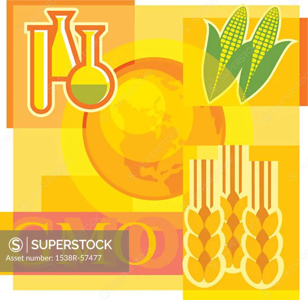 Montage illustration about genetically modified organisms containing corn, beakers, wheat and the world