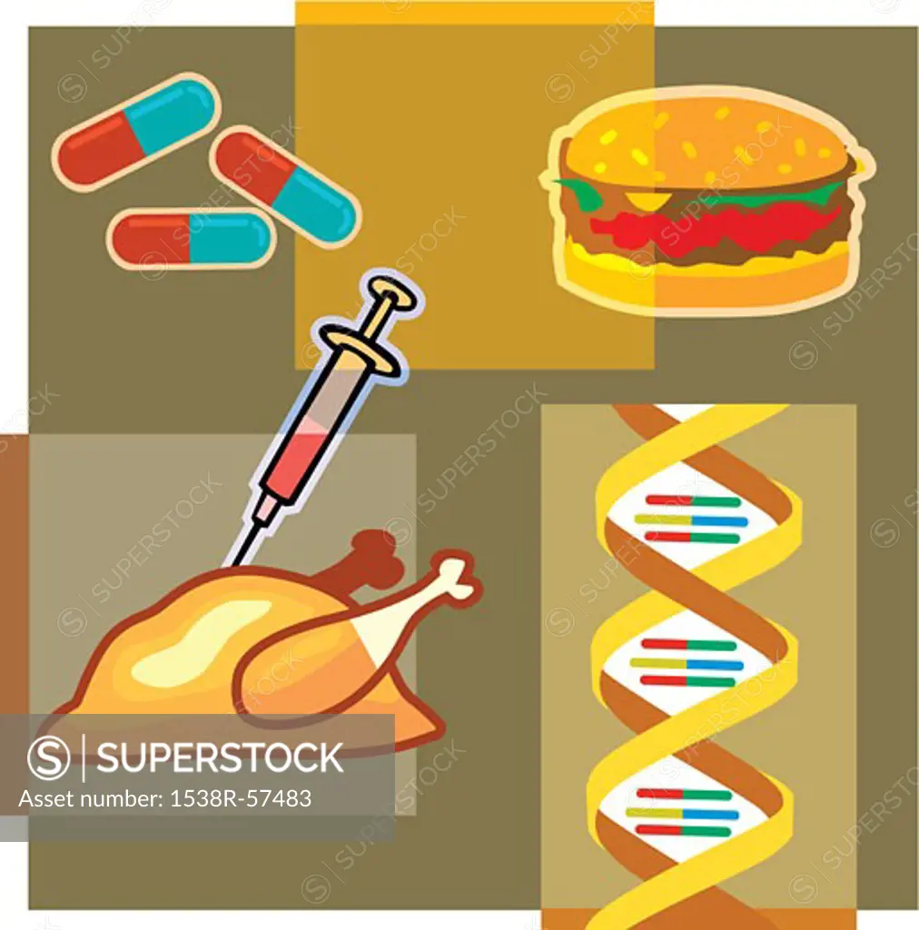 Montage illustration about genetically modified meat containing a turkey, syringe, hamburger, DNA and pills