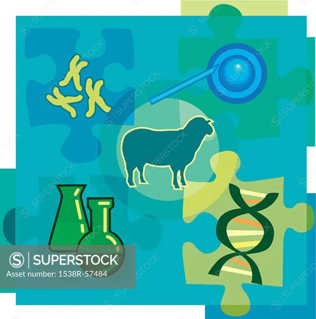 Montage illustration about genetic engineering containing chromosomes, DNA, chemicals, a sheep, and cloning