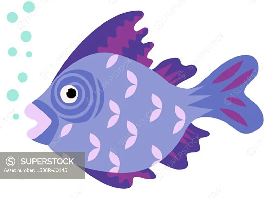 A purple fish