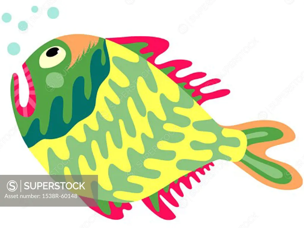 A colorful tropical fish