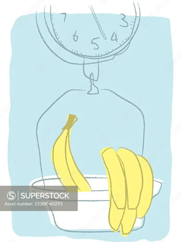 Bananas on a hanging scale