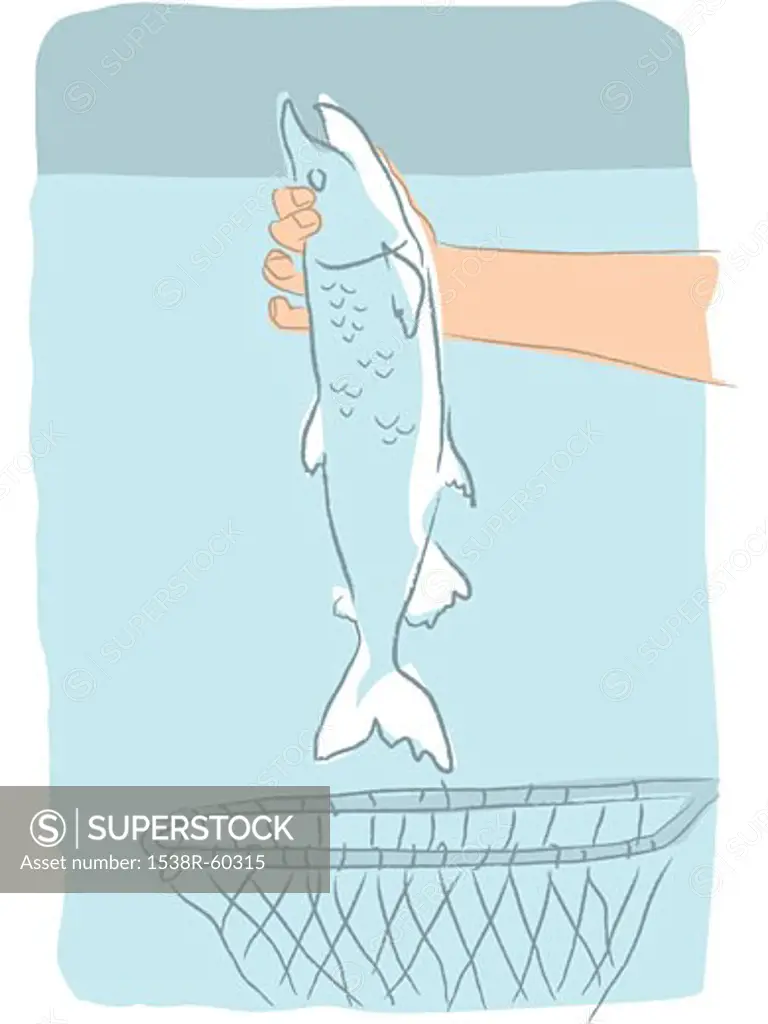 A hand taking a fish out of a net