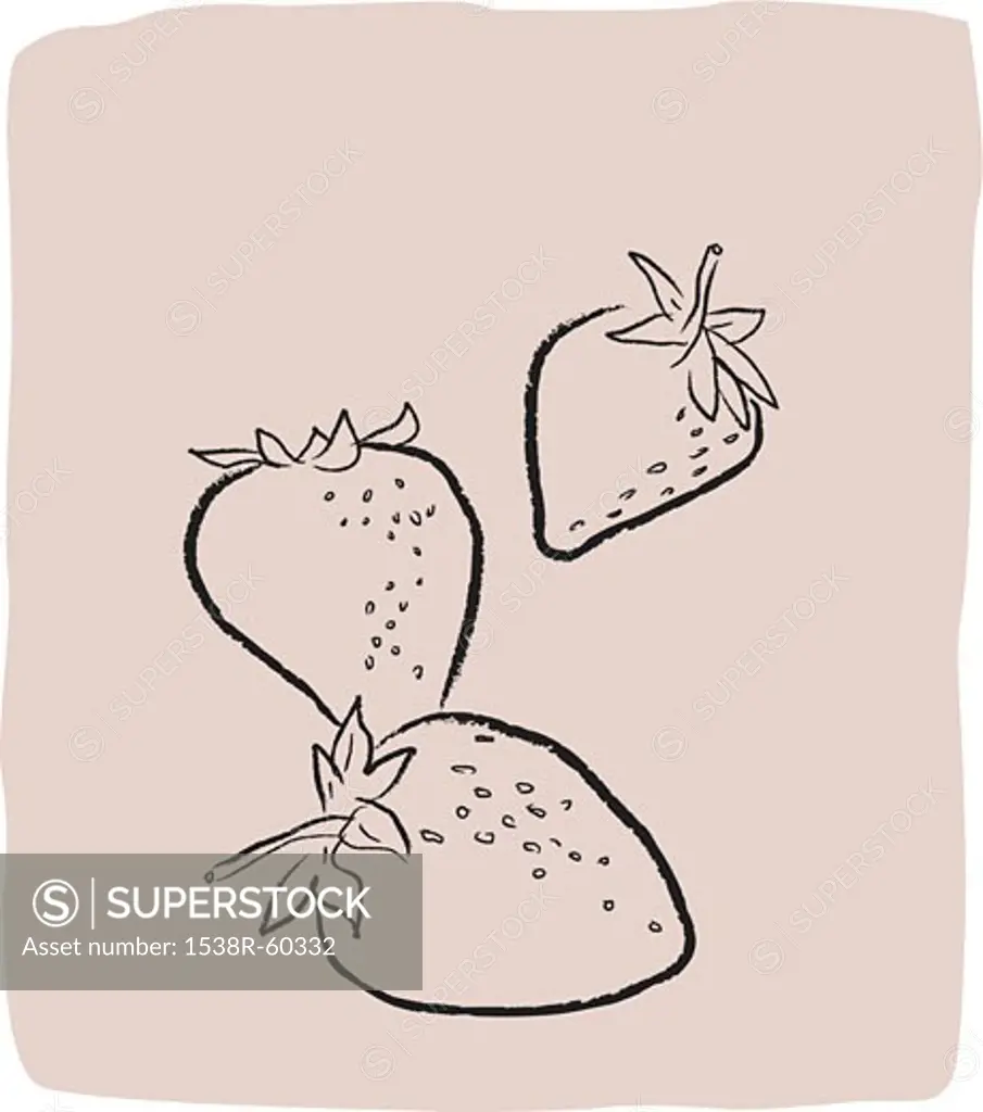 A textured line drawing of strawberries