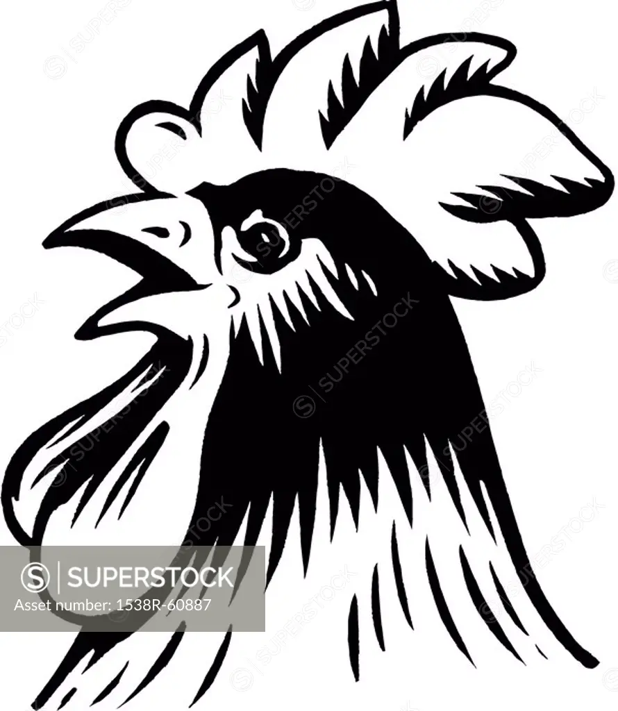 A black and white drawing of a rooster