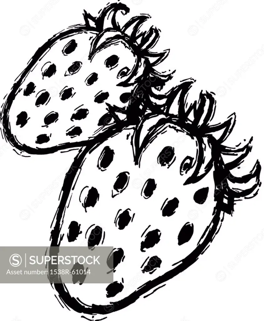A black and white illustration of two strawberries