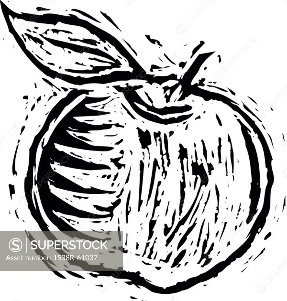 A black and white illustration of an apple with rough texture