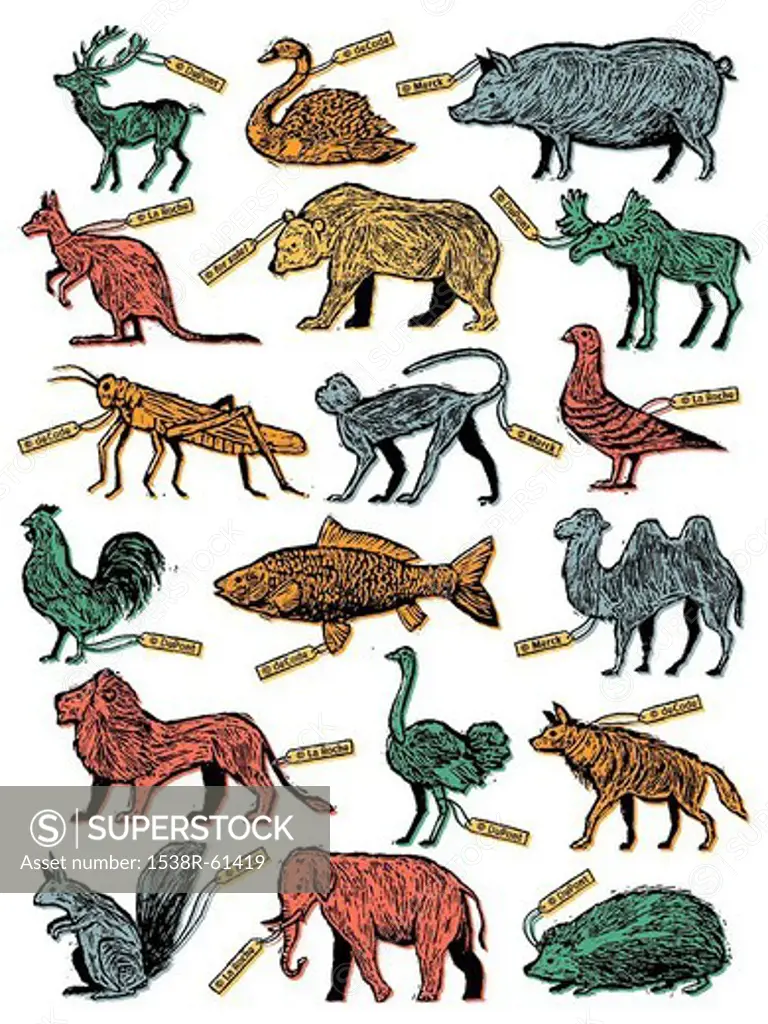 A poster depicting a group of animals