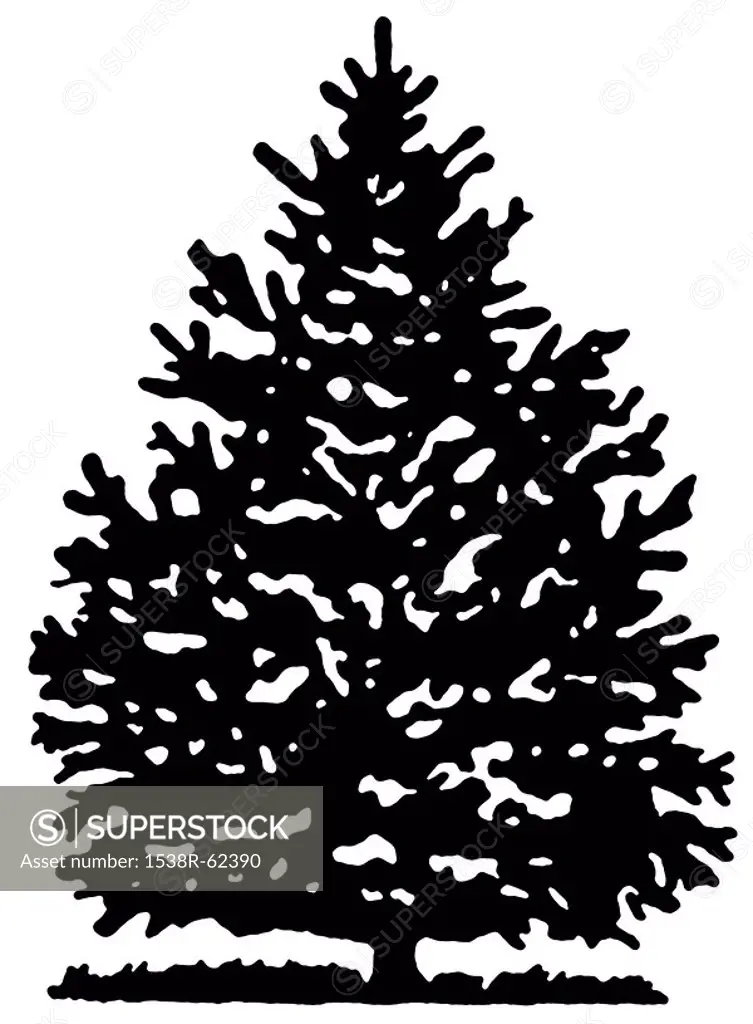 A black and white version of a Christmas Pine tree