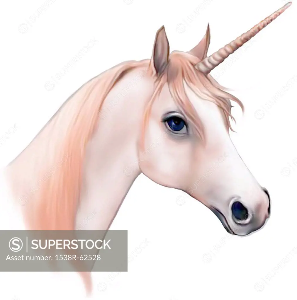 An illustration of a Unicorn