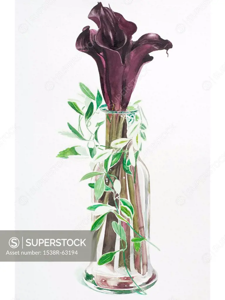 Tall stemmed purple lilies in a vase