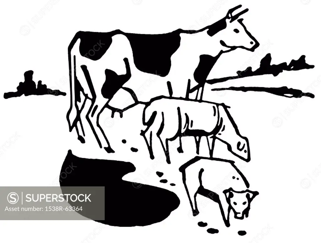 A black and white version of an illustration of a cow