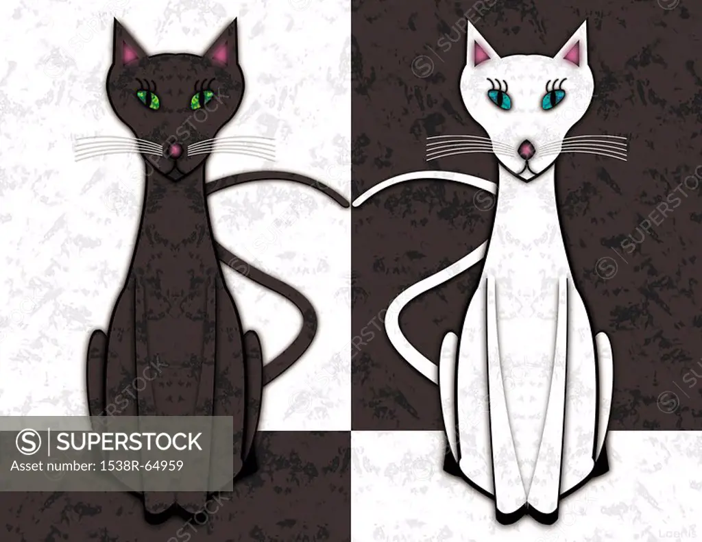 A graphical juxtaposition of two black and white cats in opposite coloring