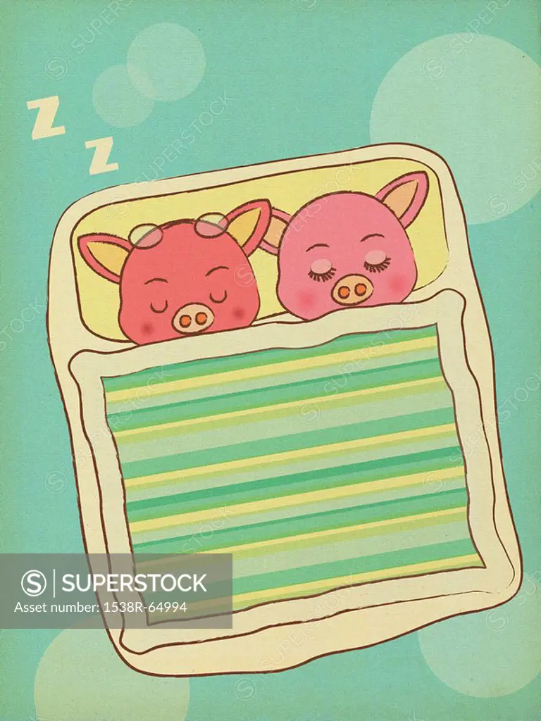 Two pigs sleeping side by side