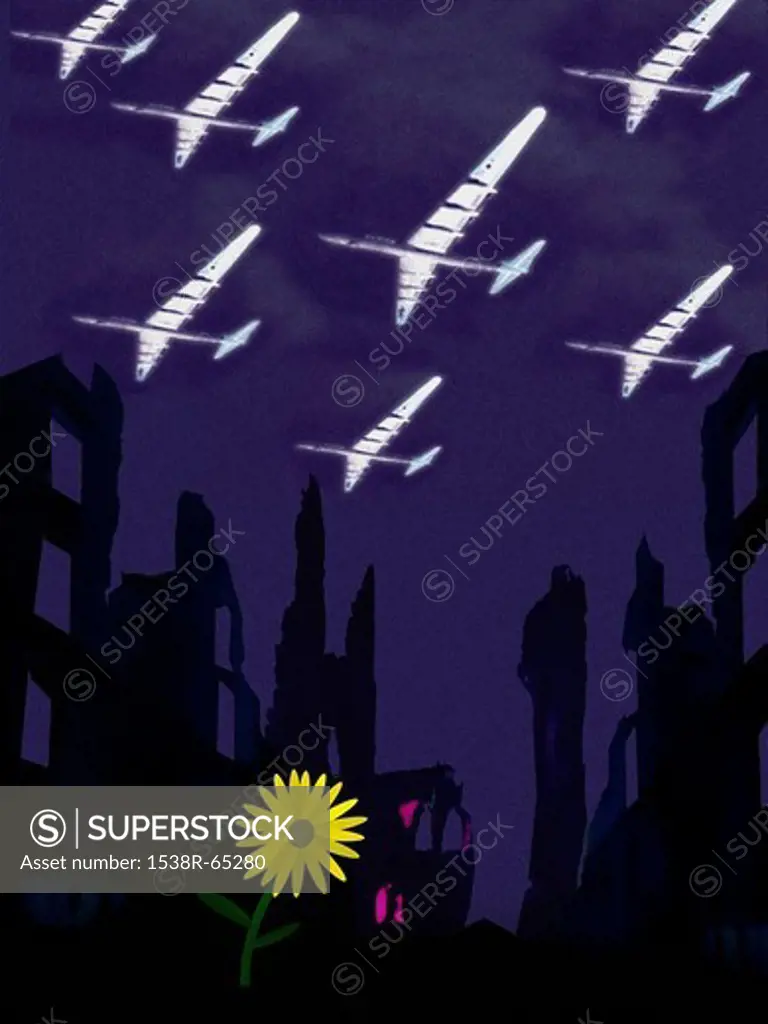 Aeroplanes flying over buildings and single yellow daisy