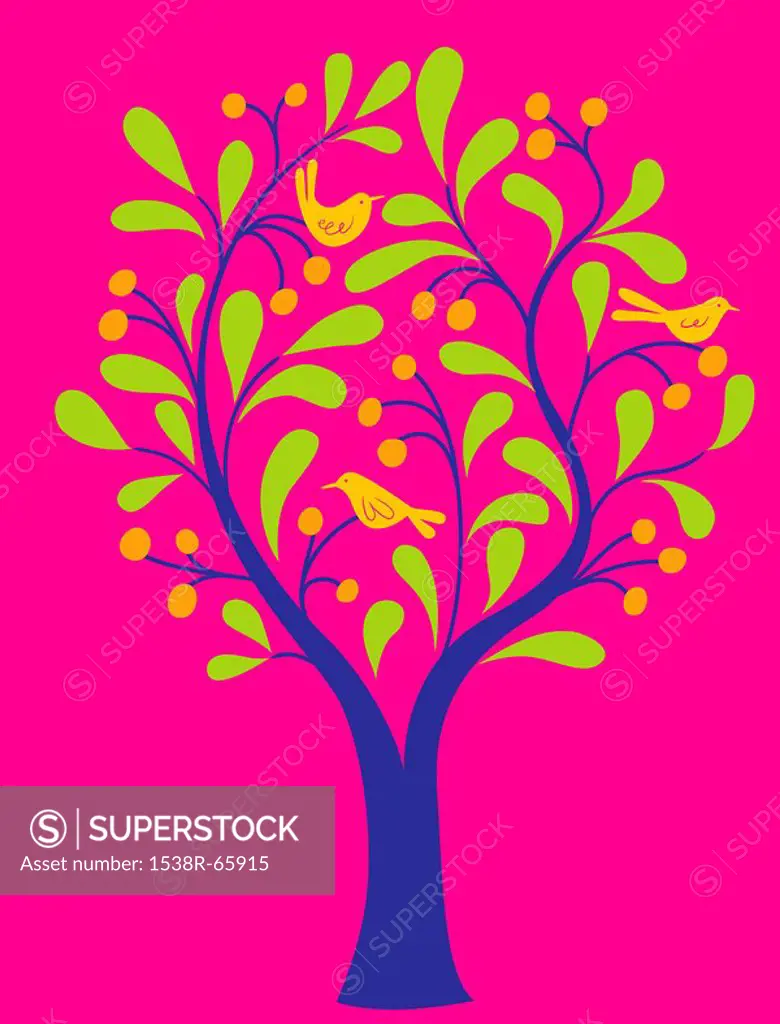 A fruit tree with birds in it on a pink background