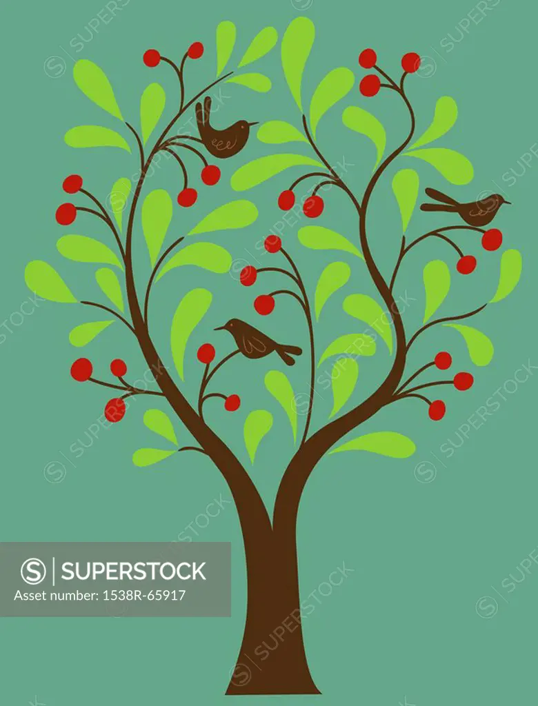 A fruit tree with birds in it on a green background