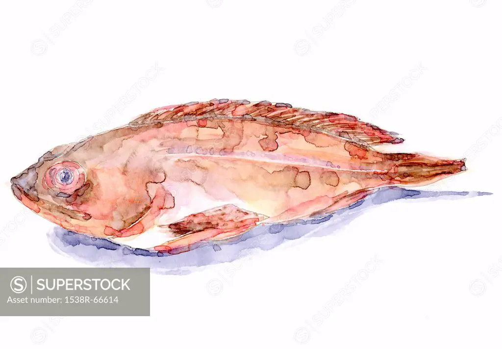 A painting of a fish