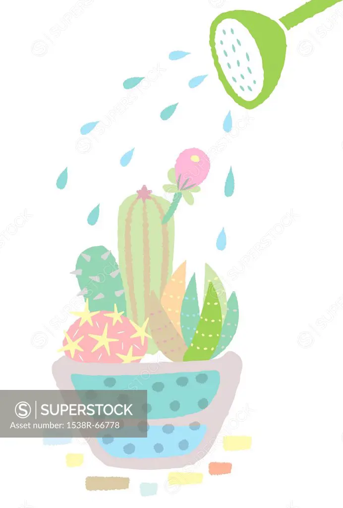 A watering can watering a cactus plant